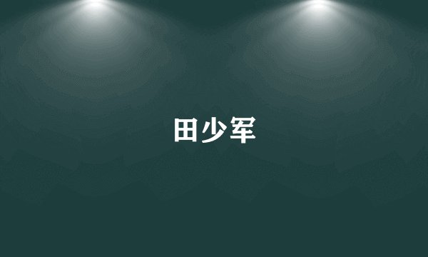 田少军