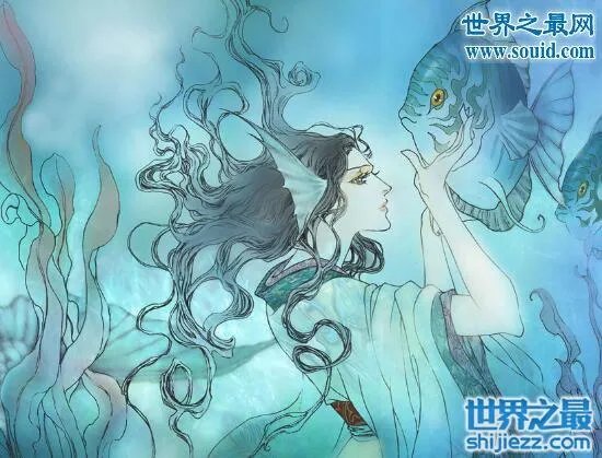 美人鱼化石,美人鱼才不是传说中的生物