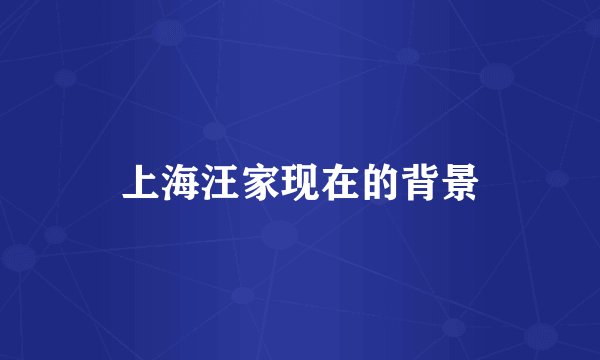 上海汪家现在的背景