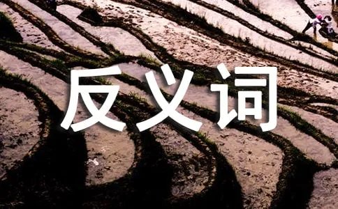 稀疏的反义词是什么