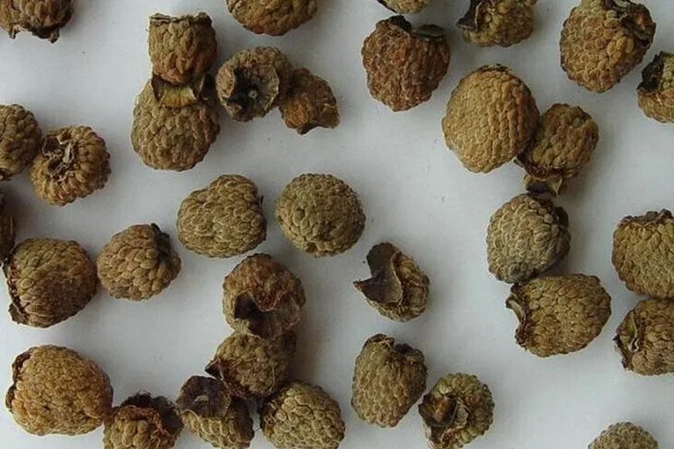 覆盆子的功效与作用图片