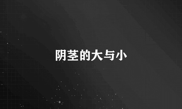阴茎的大与小