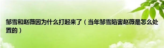 邹雪和赵薇因为什么打起来了（当年邹雪陷害赵薇是怎么处置的）