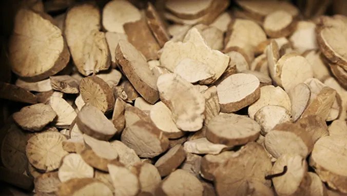 重楼的功效与作用