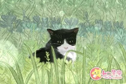 2019年除夕财神方位在哪个方向