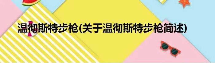 温彻斯特步枪(关于温彻斯特步枪简述)