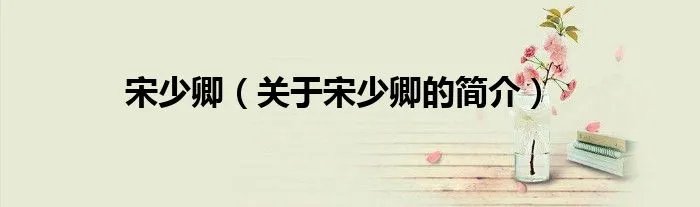 宋少卿（关于宋少卿的简介）