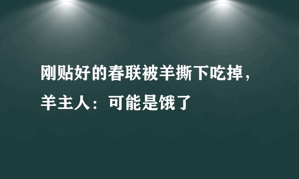 刚贴好的春联被羊撕下吃掉,羊主人:可能是饿了