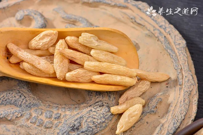 灵芝生长在什么地方