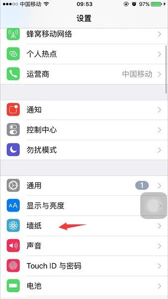 苹果的动态壁纸在照片里有声音,为何设置成壁纸就没声音了?