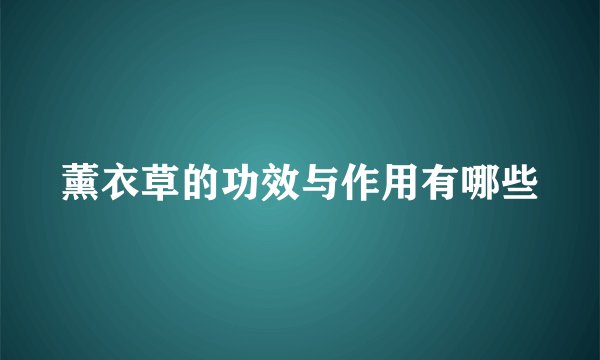 薰衣草的功效与作用有哪些