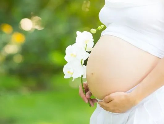 孕妇早期食谱应该怎么安排