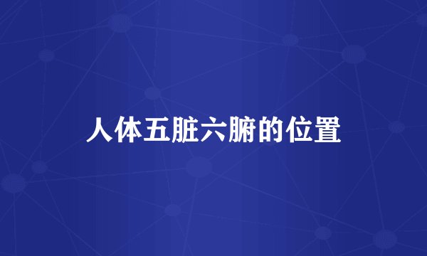 人体五脏六腑的位置