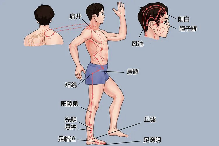 颈部胆经的位置图