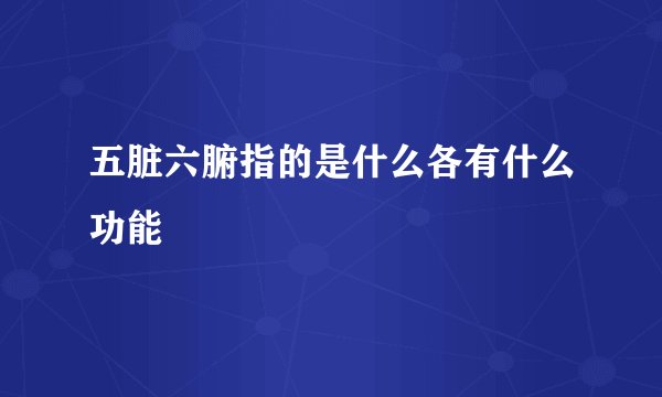 五脏六腑指的是什么各有什么功能