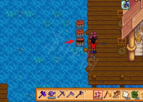 星露谷物语蟹笼怎么用