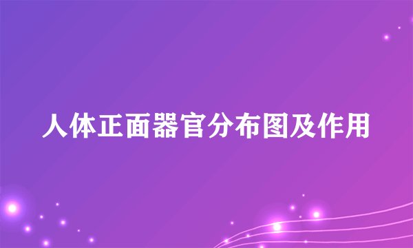 人体正面器官分布图及作用