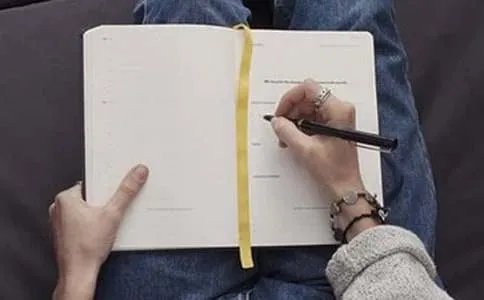 小强历险记作文