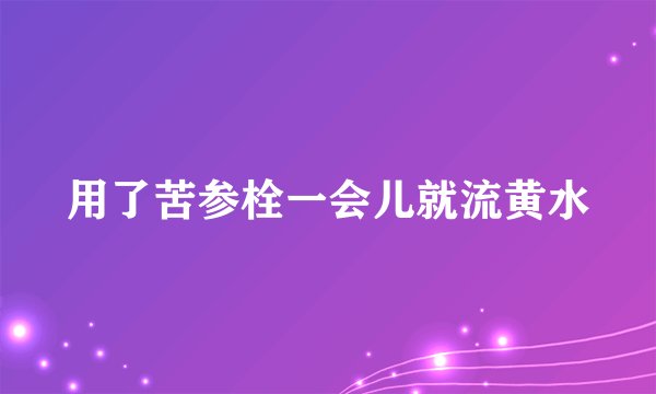 用了苦参栓一会儿就流黄水