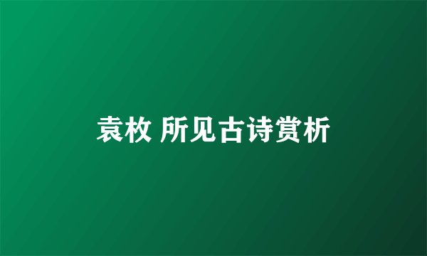 袁枚 所见古诗赏析