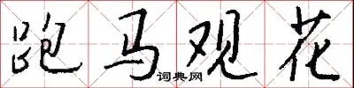 跑马观花