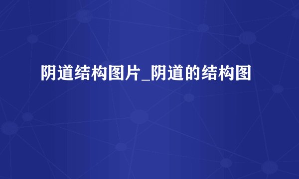 阴道结构图片_阴道的结构图