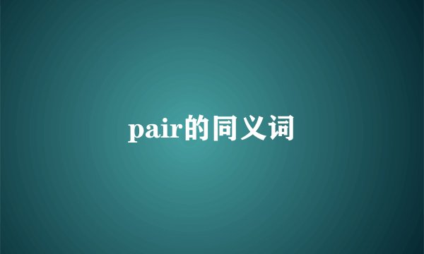 pair的同义词
