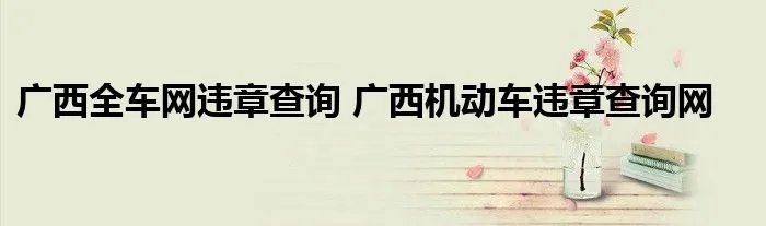 广西全车网违章查询 广西机动车违章查询网