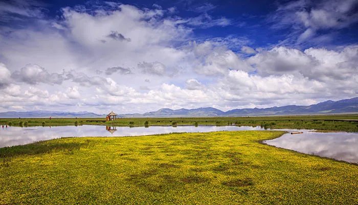 若尔盖旅游攻略 若尔盖最佳旅游季节