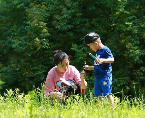 多地部署全面了解育龄妇女及生育意愿,了解妇女生育意愿为的是什么?