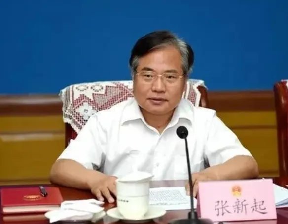 “种树市长”张新起落马,他涉嫌哪些罪名?