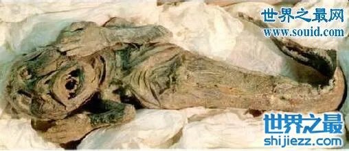 美人鱼化石,美人鱼才不是传说中的生物