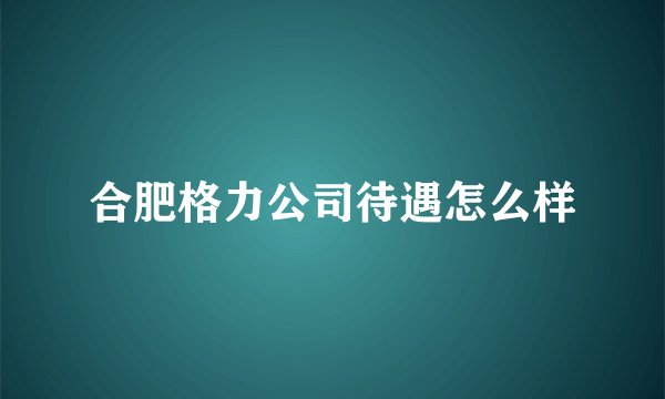 合肥格力公司待遇怎么样