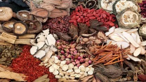 艾草的功效和作用