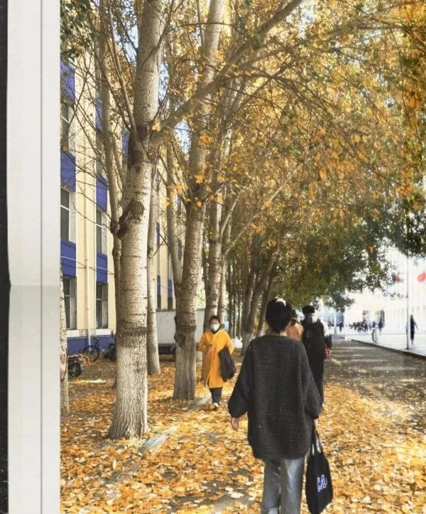 白城师范学院好吗