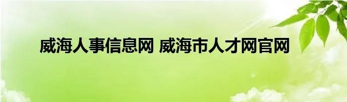 威海人事信息网 威海市人才网官网