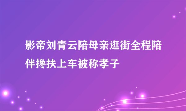 影帝刘青云陪母亲逛街全程陪伴搀扶上车被称孝子