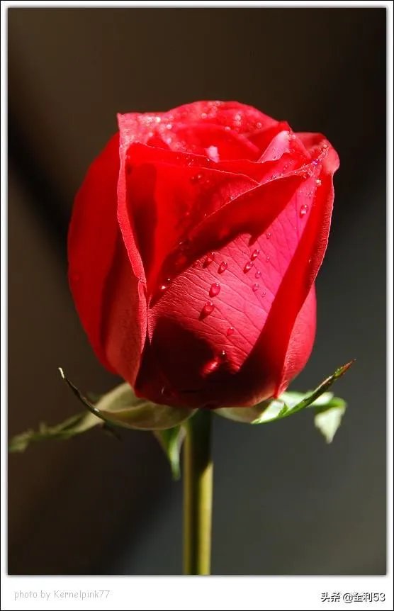 为什么我没以前快乐了？