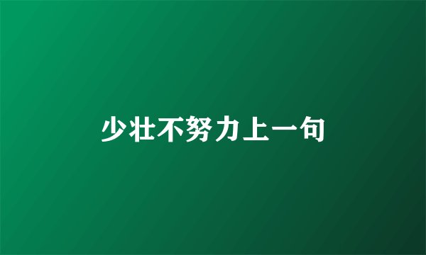 少壮不努力上一句