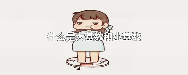 什么是大基数和小基数