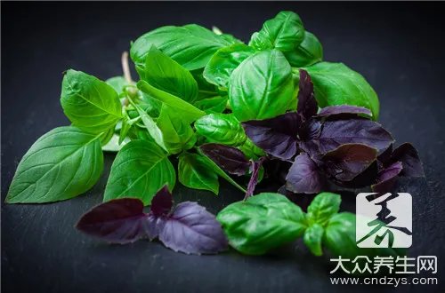 如何辨别紫菜真假，塑料紫菜好区分