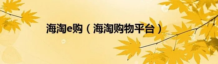 海淘e购（海淘购物平台）