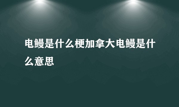 电鳗是什么梗加拿大电鳗是什么意思