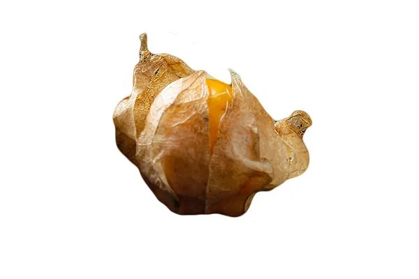 姑娘果的功效与作用