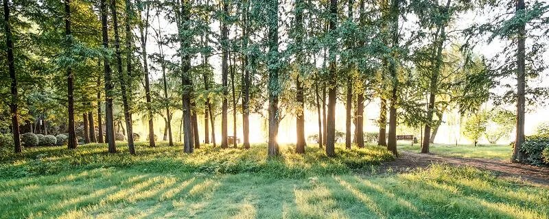 野外生存技巧 野外生存技巧有哪些