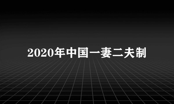 2020年中国一妻二夫制