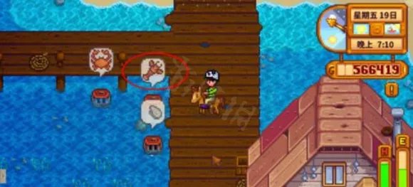 星露谷物语蟹笼怎么用