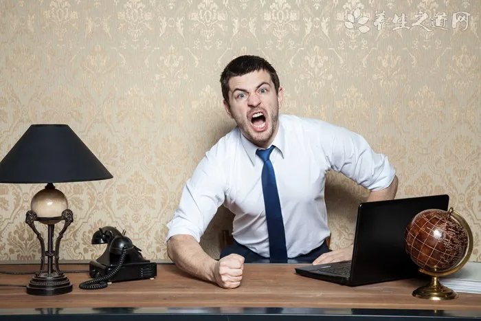 济南发布养犬通告 家养什么狗狗好