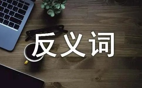 烦躁的反义词