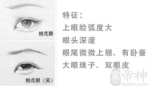 什么是桃花眼 桃花眼面相命运解析